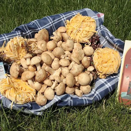 Ristorante Mancinelli 2*